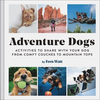 bokomslag Adventure Dogs: Activities to Share with Your Dog--From Comfy Couches to Mountain Tops