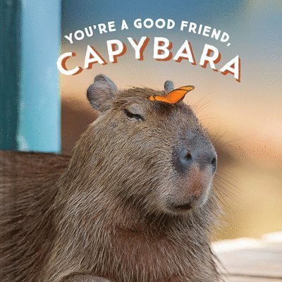 You're a Good Friend, Capybara 1