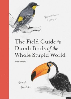 Matt Kracht - Field Guide to Dumb Birds of the Whole Stupid World, Häftad