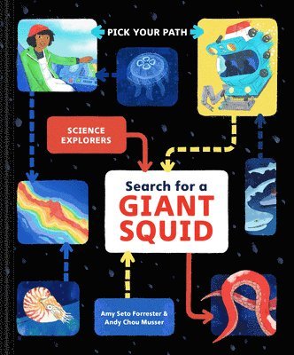 Search for a Giant Squid 1
