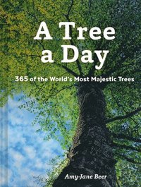 bokomslag A Tree a Day