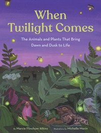 bokomslag When Twilight Comes