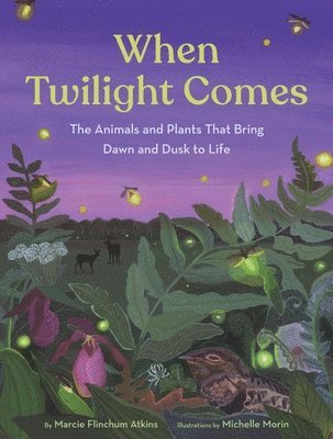 bokomslag When Twilight Comes