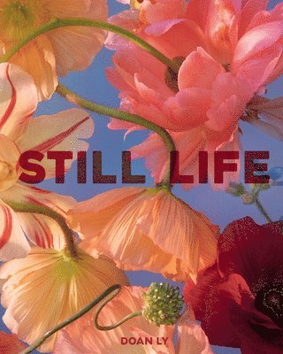 Still Life 1