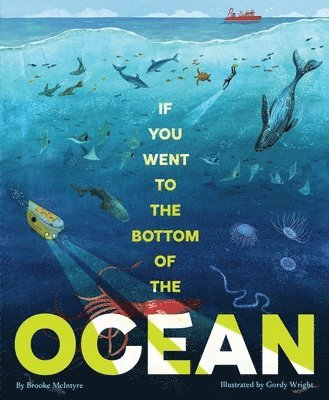 Brooke McIntyre - If You Went to the Bottom of the Ocean, Inbunden