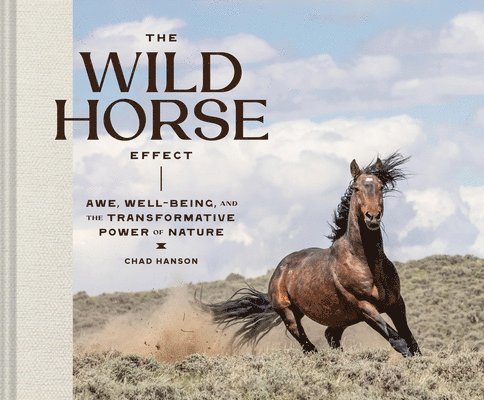 The Wild Horse Effect 1