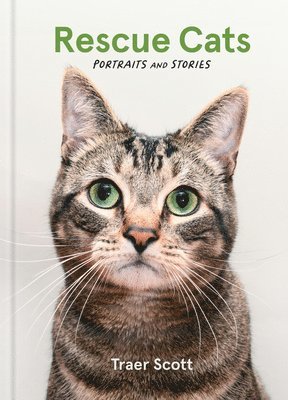 Traer Scott - Rescue Cats, Inbunden