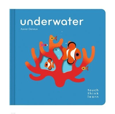 TouchThinkLearn: Underwater 1