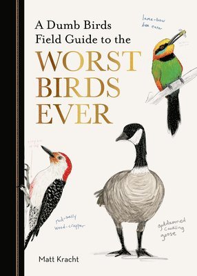 Matt Kracht - Dumb Birds Field Guide to the Worst Birds Ever, Häftad