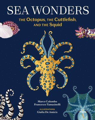 bokomslag Sea Wonders: The Octopus, the Cuttlefish, and the Squid