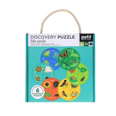 bokomslag Discovery Puzzle: Life Cycle