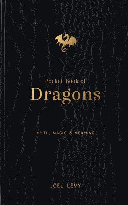 bokomslag Pocket Book of Dragons