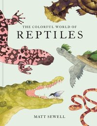 bokomslag Colorful World of Reptiles