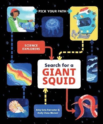 bokomslag Search for a Giant Squid