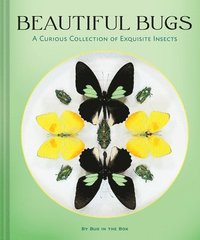 bokomslag Beautiful Bugs: A Curious Collection of Exquisite Insects