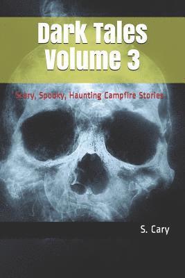 bokomslag Dark Tales Volume 3: Scary, Spooky, Haunting Campfire Stories