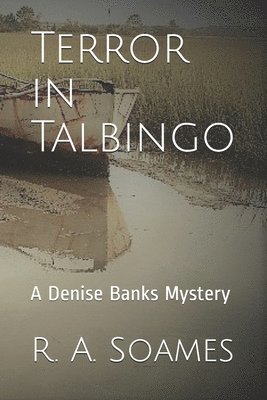 bokomslag Terror in Talbingo: A Denise Banks Mystery