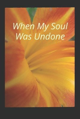 bokomslag When My Soul Was Undone