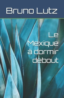 bokomslag Le Mexique À Dormir Debout
