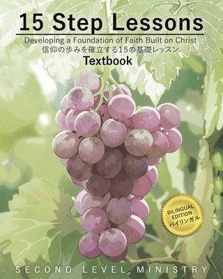 bokomslag 15 Step Lessons: Developing a Foundation of Faith Built on Christ