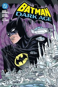 bokomslag Batman: Dark Age