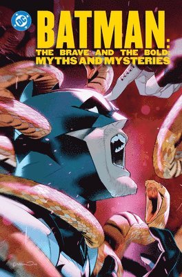 bokomslag Batman: The Brave and the Bold: Myths and Mysteries
