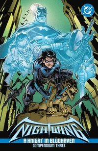 bokomslag Nightwing: A Knight in Blüdhaven Compendium Three