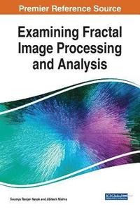 bokomslag Examining Fractal Image Processing and Analysis