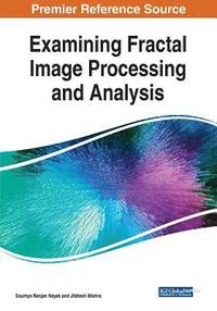 bokomslag Examining Fractal Image Processing and Analysis