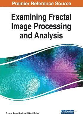 Soumya Ranjan Nayak, Jibitesh Mishra - Examining Fractal Image Processing and Analysis, Häftad