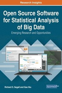 bokomslag Open Source Software for Statistical Analysis of Big Data