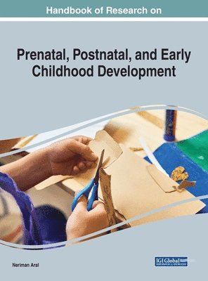 bokomslag Global Perspectives on Prenatal, Postnatal, and Early Childhood Development