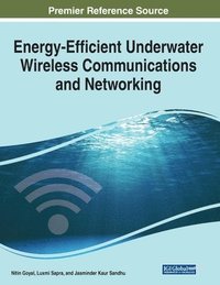 bokomslag Energy-Efficient Underwater Wireless Communications and Networking