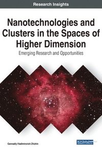 bokomslag Nanotechnologies and Clusters in the Spaces of Higher Dimension
