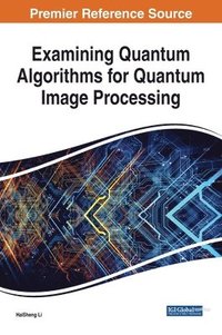 bokomslag Examining Quantum Algorithms for Quantum Image Processing