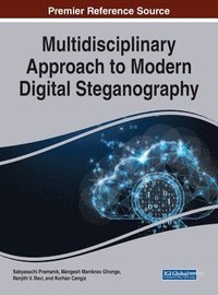 bokomslag Multidisciplinary Approach to Modern Digital Steganography