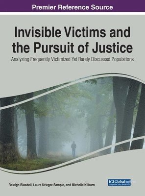 bokomslag Invisible Victims and the Pursuit of Justice