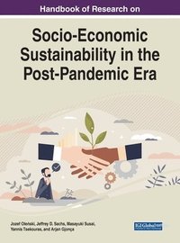 bokomslag Socio-Economic Sustainability in the Post-Pandemic Era