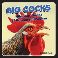 bokomslag Big Cocks