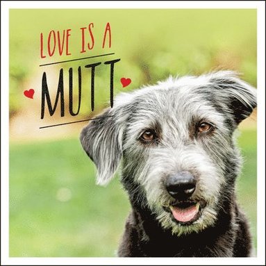 bokomslag Love is a Mutt