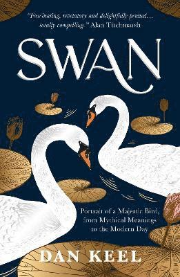 bokomslag Swan