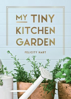 My Tiny Kitchen Garden 1