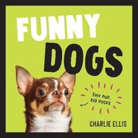 bokomslag Funny Dogs