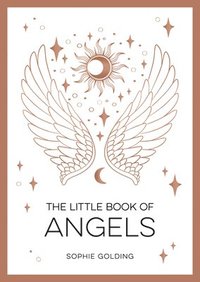 bokomslag The Little Book of Angels