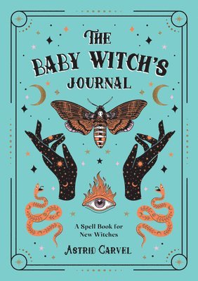 bokomslag The Baby Witch's Journal