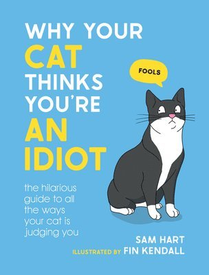 Why Your Cat Thinks You're an Idiot 1