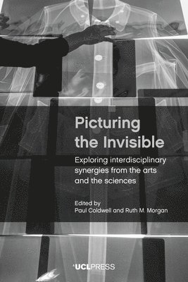 Picturing the Invisible 1