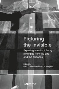 bokomslag Picturing the Invisible
