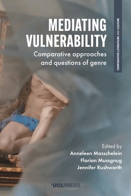 Mediating Vulnerability 1