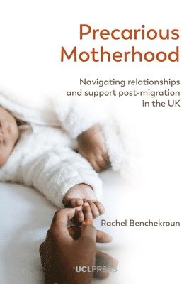 bokomslag Precarious Motherhood